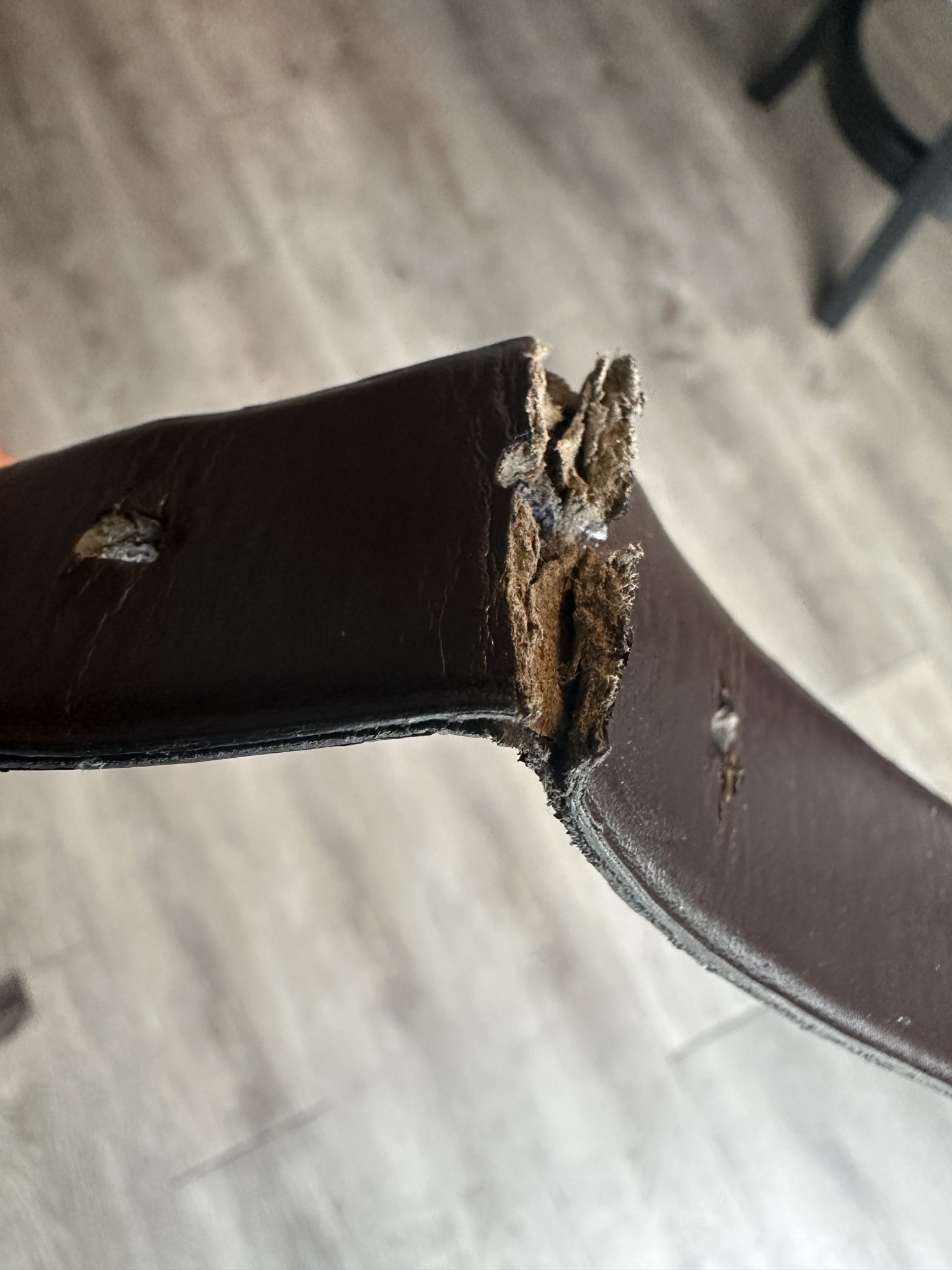 The Unsung Heroes of Fitness Celebrating Consistent Health