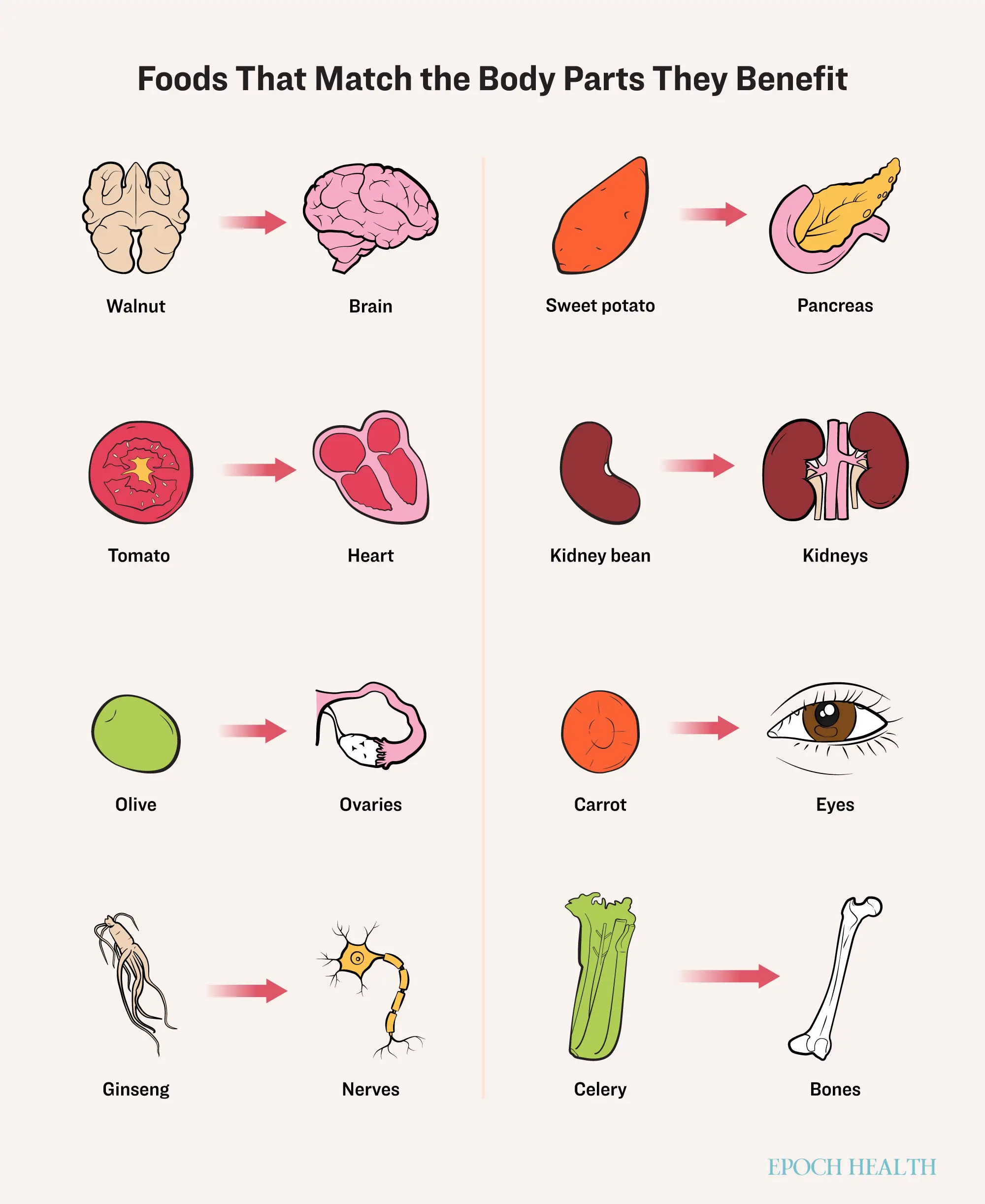 id Foods match body