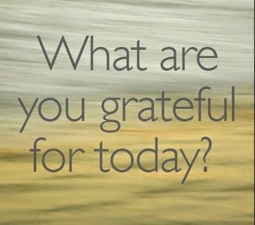 What are you grateful for today x