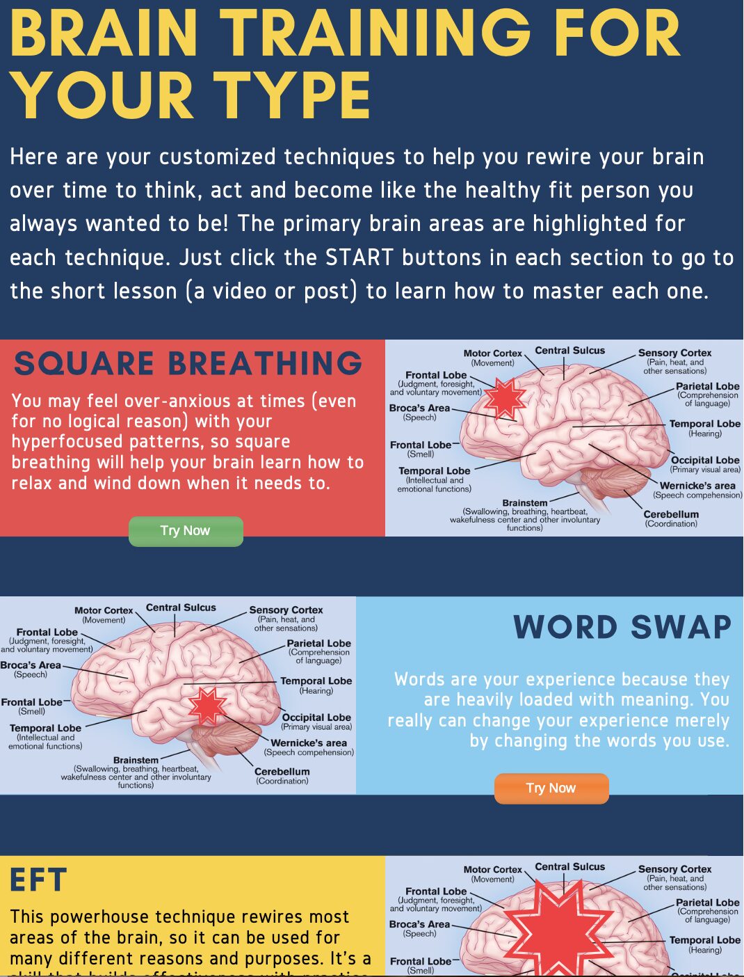brain training for your type[]