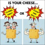 CHEESE